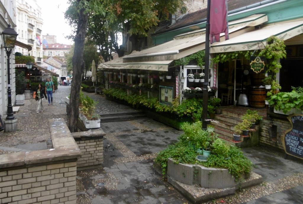 Apartment Nedic Belgrad Exterior foto